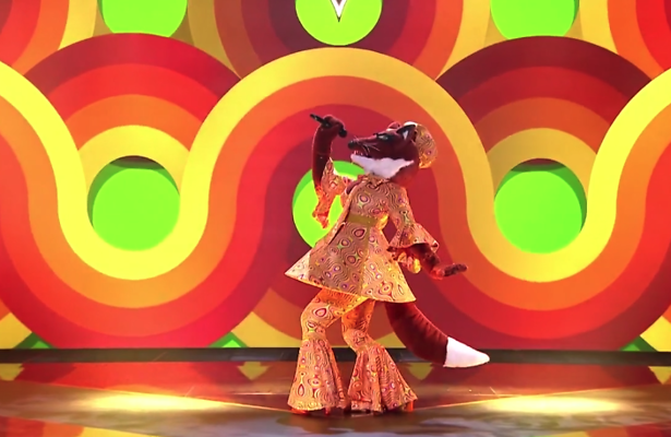 The masked singer
